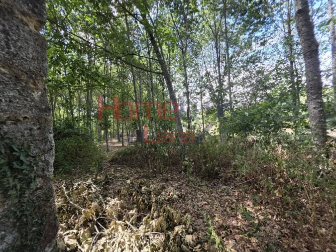 Quinta T3 para Venda em Germil Foto 66