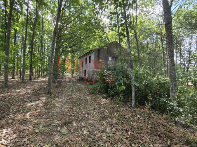 Quinta T3 para Venda em Germil Foto 3