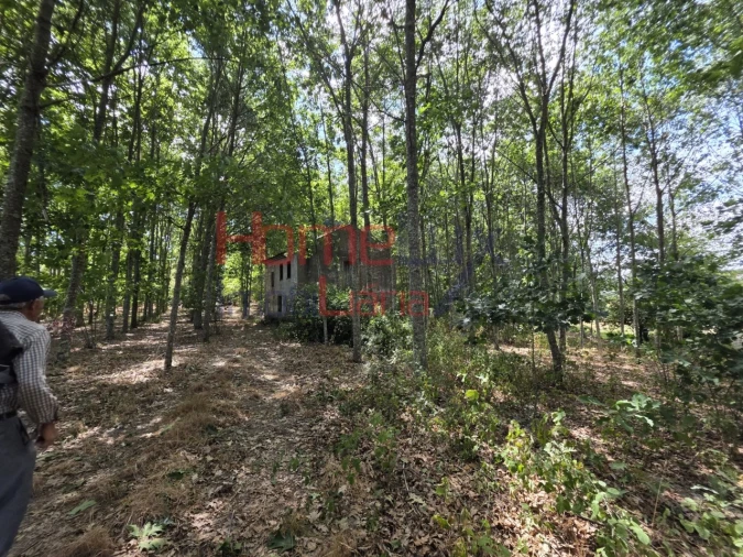 Quinta T3 para Venda em Germil Foto 71