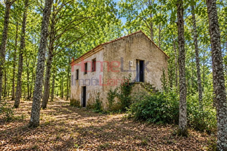 Quinta T3 para Venda em Germil Foto 2