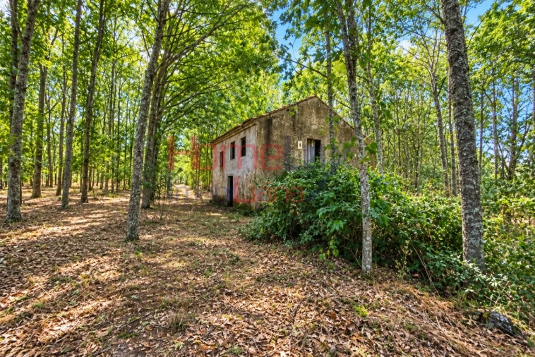 Quinta T3 para Venda em Germil Foto 3