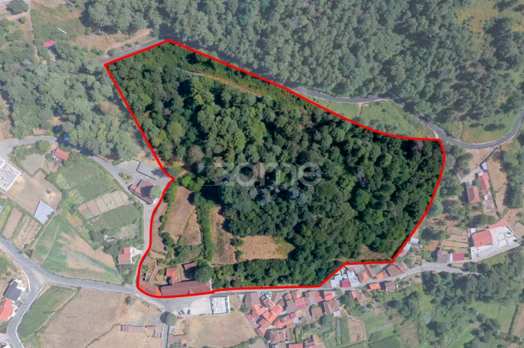 Moradia T13 para Venda em Castro Daire Foto 42