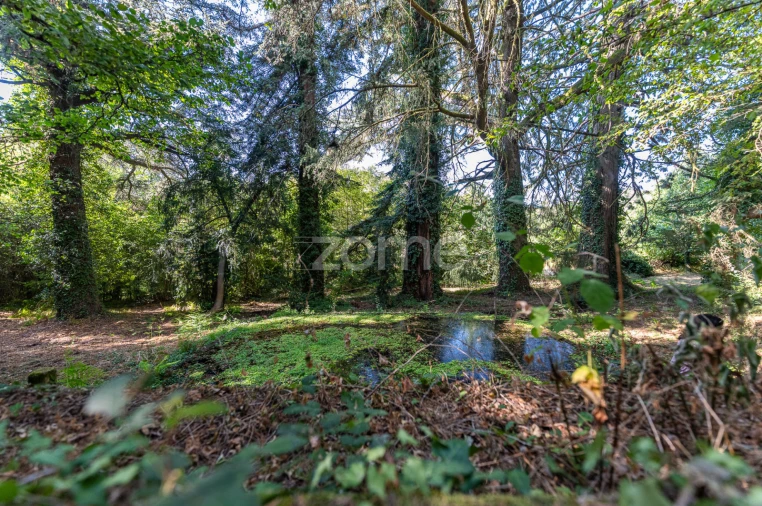 Moradia T13 para Venda em Castro Daire Foto 36