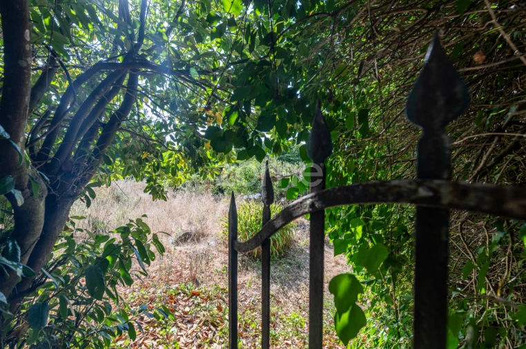 Moradia T13 para Venda em Castro Daire Foto 38