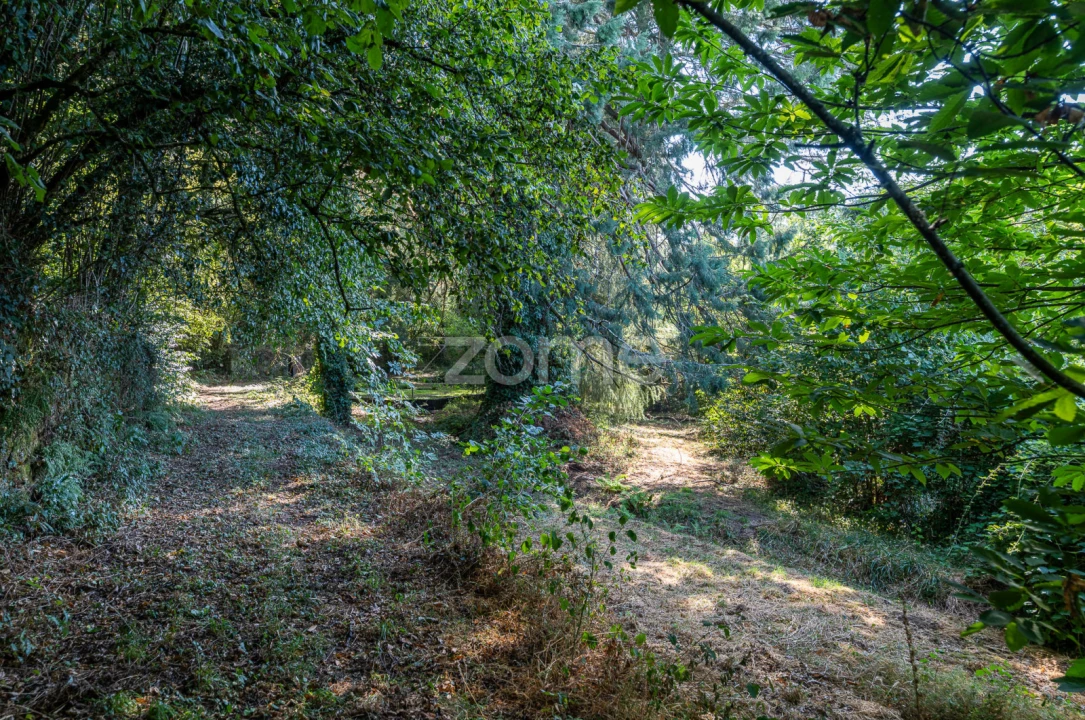 Moradia T13 para Venda em Castro Daire Foto 32