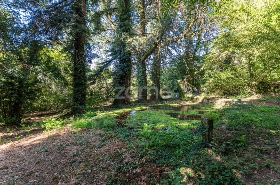 Moradia T13 para Venda em Castro Daire Foto 35