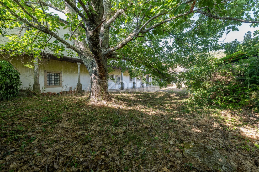 Moradia T13 para Venda em Castro Daire Foto 7