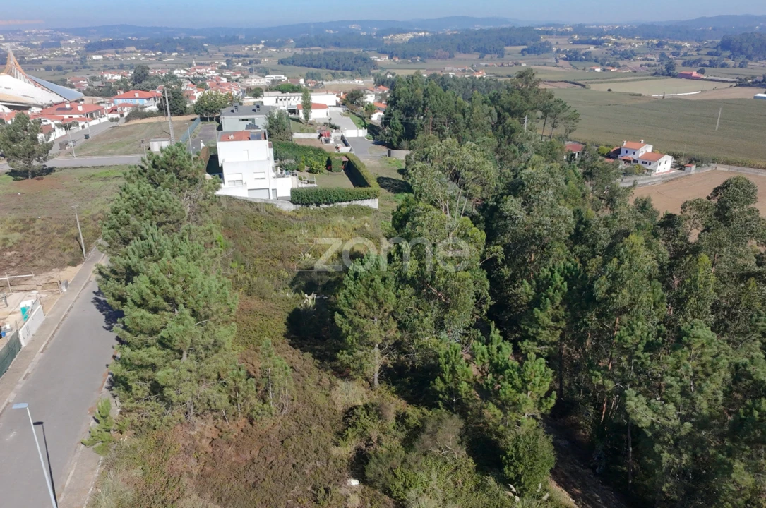 Terreno para Venda em Balazar Foto 2