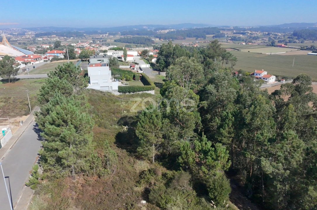 Terreno para Venda em Balazar Foto 3
