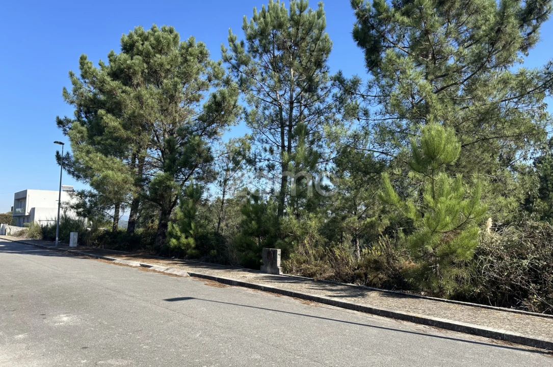 Terreno para Venda em Balazar Foto 1