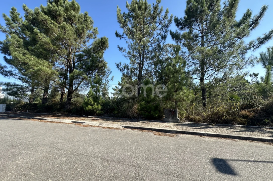 Terreno para Venda em Balazar Foto 7