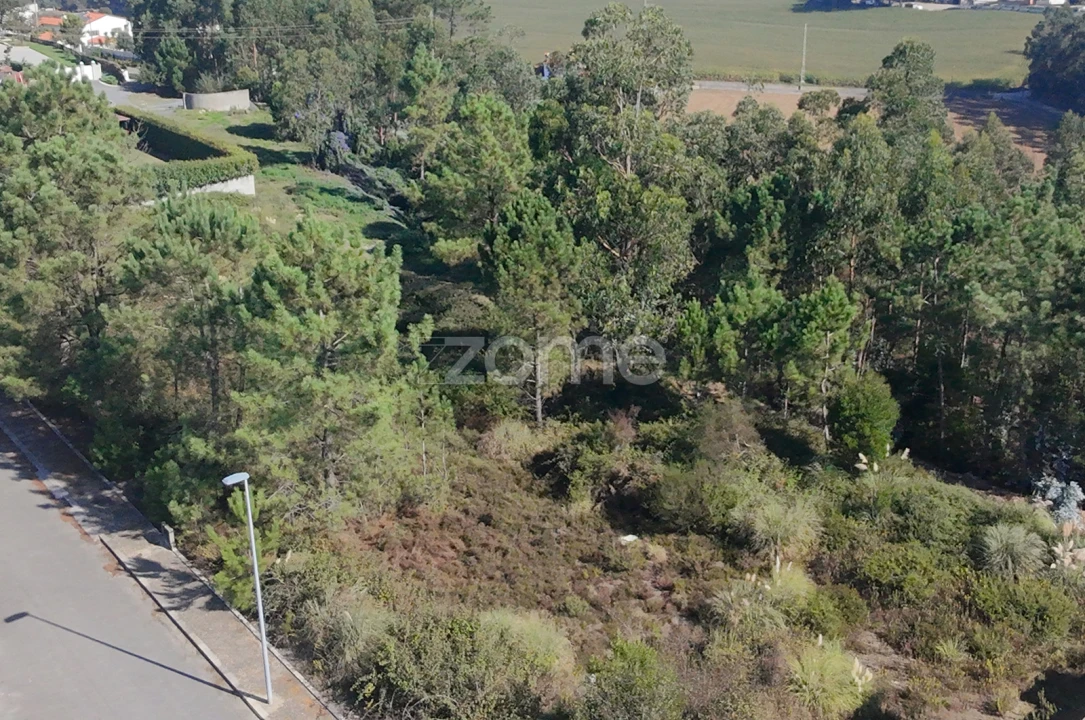 Terreno para Venda em Balazar Foto 8