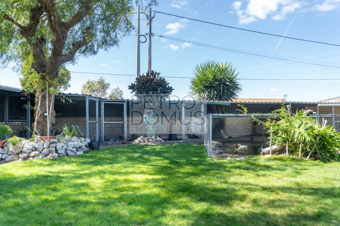 Quinta T5 para Venda em Marinhais Foto 7