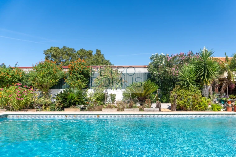 Quinta T5 para Venda em Marinhais Foto 3