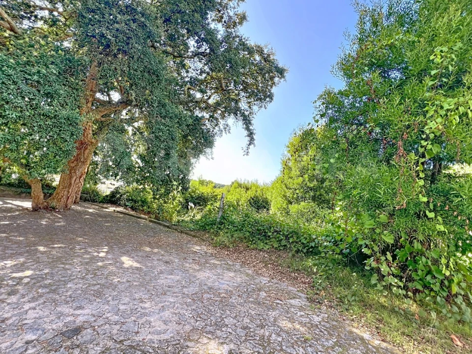 Terreno para Venda em Moledo e Cristelo Foto 9