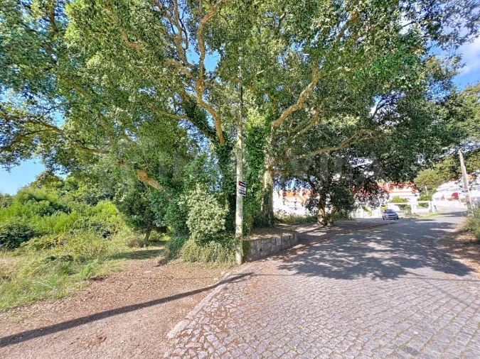 Terreno para Venda em Moledo e Cristelo Foto 5