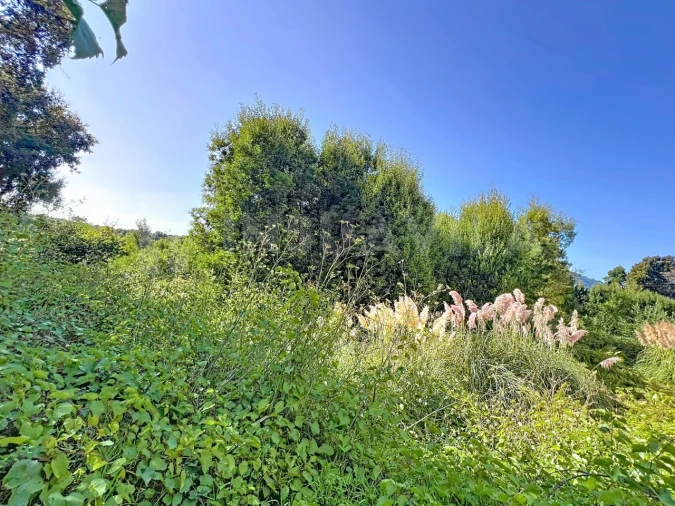 Terreno para Venda em Moledo e Cristelo Foto 7