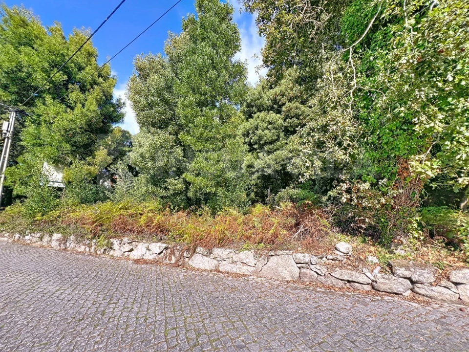 Terreno para Venda em Moledo e Cristelo Foto 9