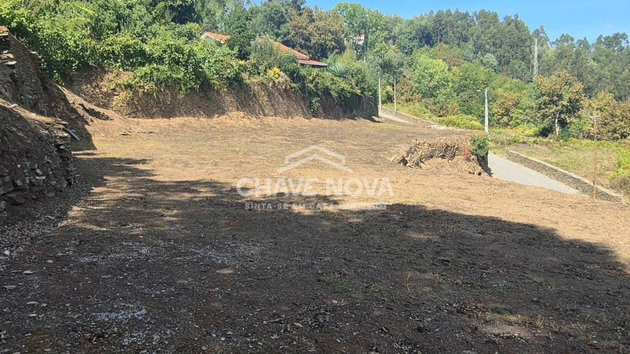 Terreno Agricola ou Rústico para Venda em Foz do Sousa e Covelo Foto 5
