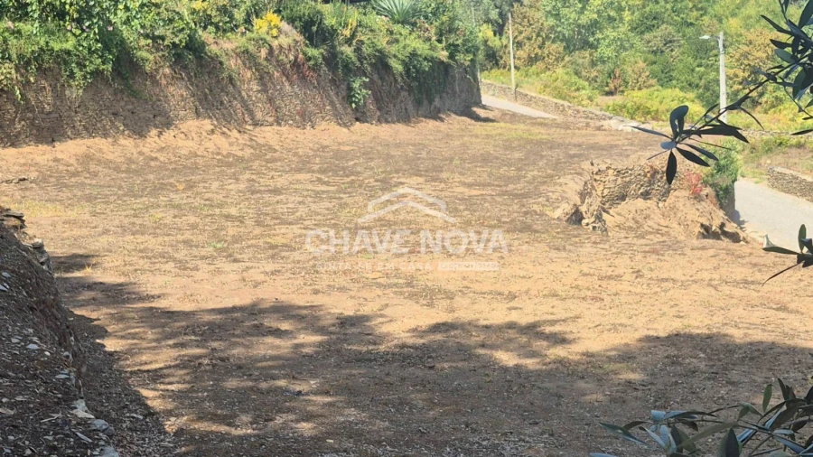 Terreno Agricola ou Rústico para Venda em Foz do Sousa e Covelo Foto 6