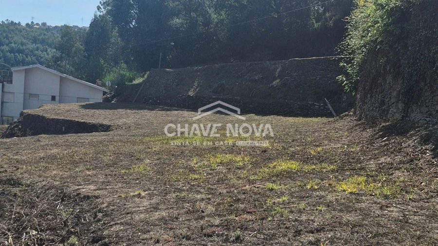 Terreno Agricola ou Rústico para Venda em Foz do Sousa e Covelo Foto 7