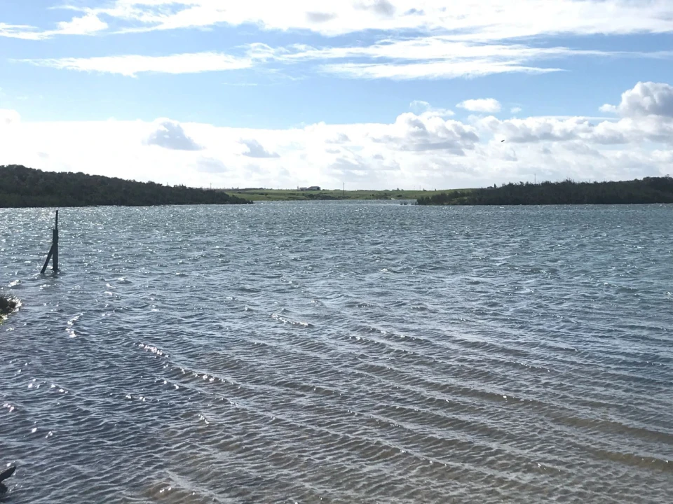 Terreno Misto para Venda em Mourão Foto 9