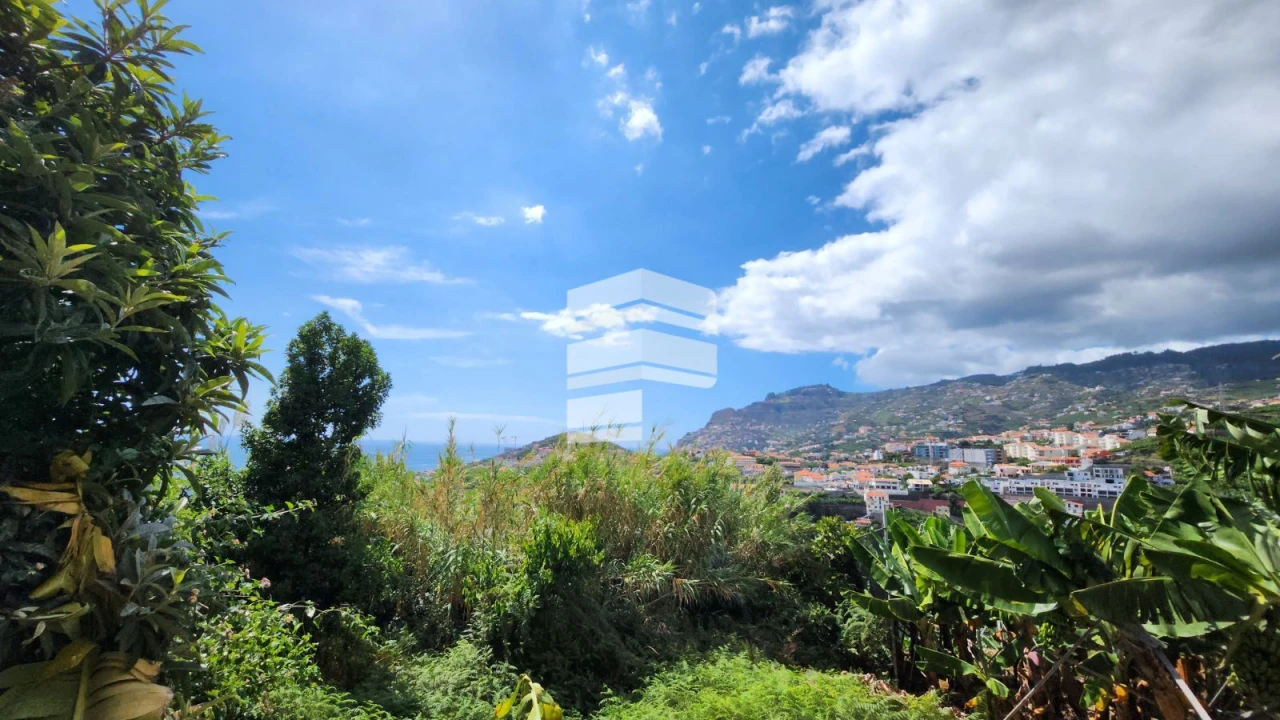 Terreno para Venda em São Martinho Foto 6