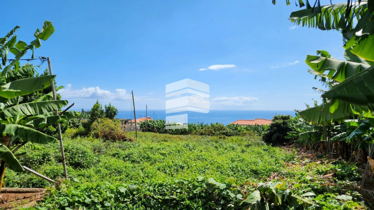 Terreno para Venda em São Martinho Foto 1