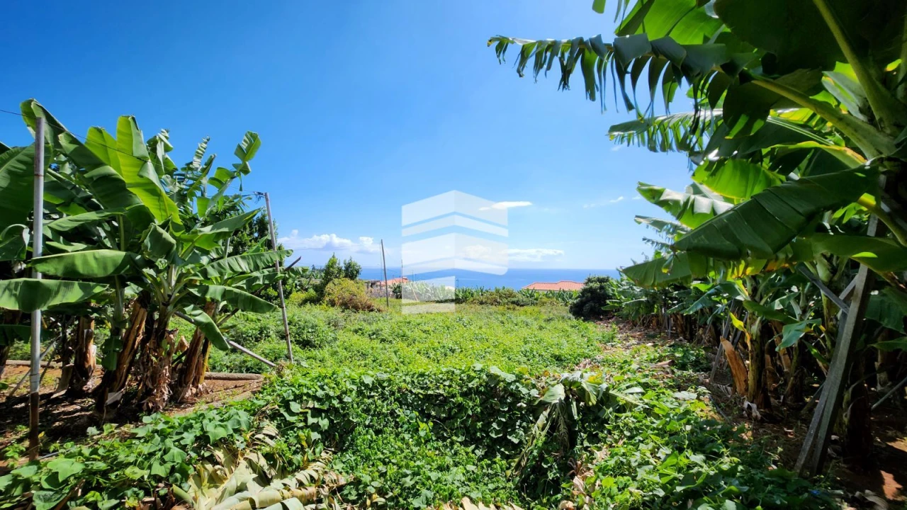 Terreno para Venda em São Martinho Foto 7