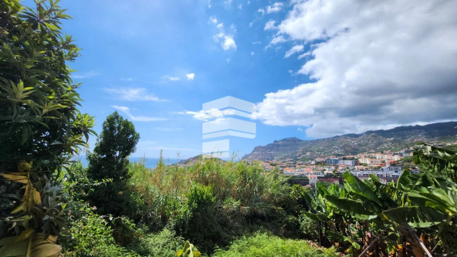 Terreno para Venda em São Martinho Foto 6