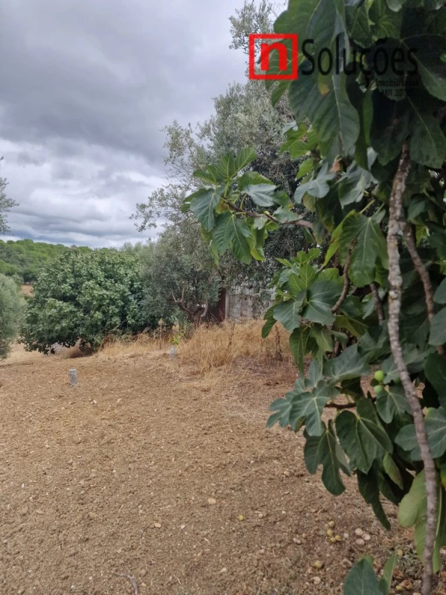 Moradia T2 para Venda em Olaia e Paço Foto 29