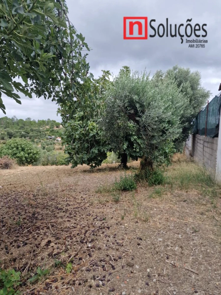 Moradia T2 para Venda em Olaia e Paço Foto 27