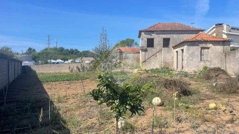 Terreno para Venda em Arcozelo