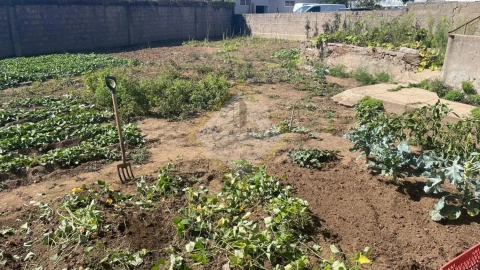 Terreno para Venda em Arcozelo