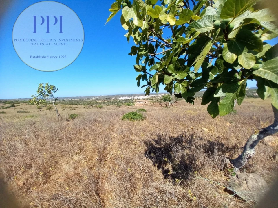 Quinta T0 para Venda em Luz Foto 24