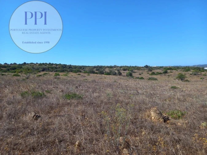 Quinta T0 para Venda em Luz Foto 14