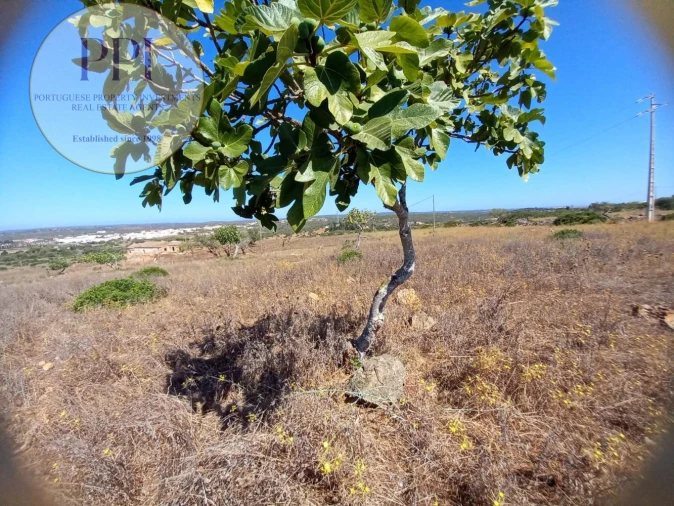 Quinta T0 para Venda em Luz Foto 13