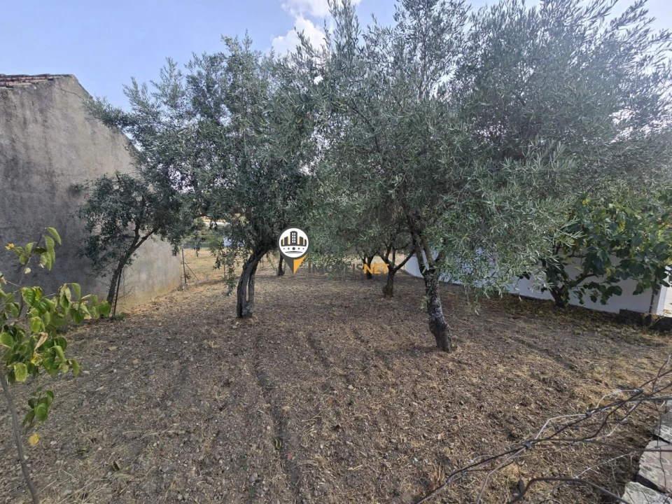 Moradia T4 para Venda em São Vicente da Beira Foto 58