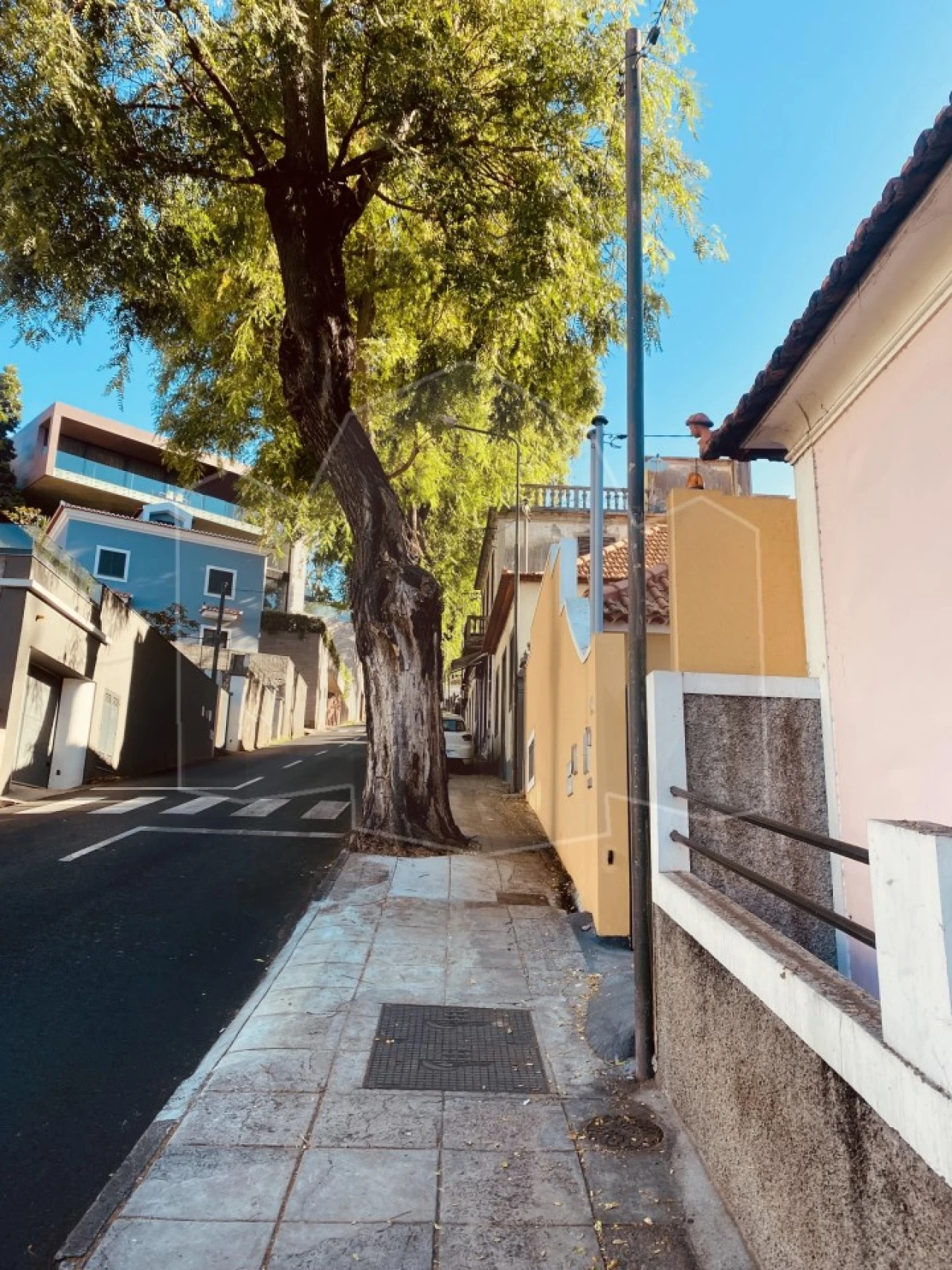 Moradia para Venda em Funchal (Santa Luzia) Foto 15