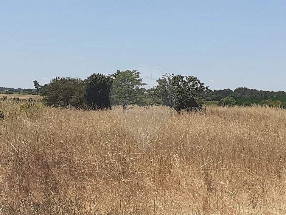 Terreno para Venda em Alpiarça Foto 1