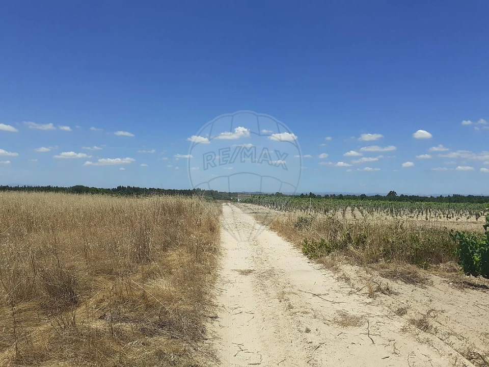 Terreno para Venda em Alpiarça Foto 2