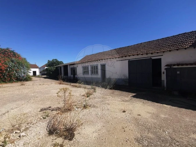 Armazém para Venda em Alpiarça Foto 11