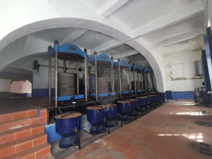 Armazém para Venda em Alpiarça Foto 6