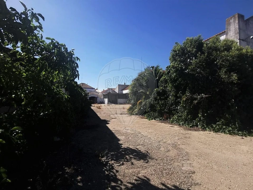 Armazém para Venda em Alpiarça Foto 17