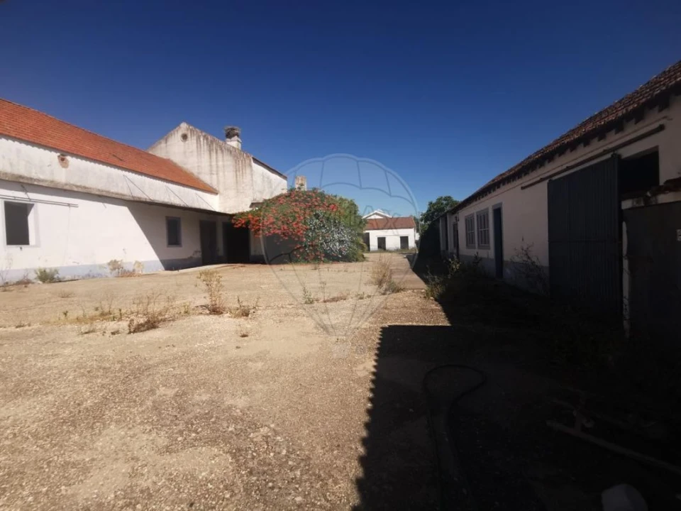 Armazém para Venda em Alpiarça Foto 10