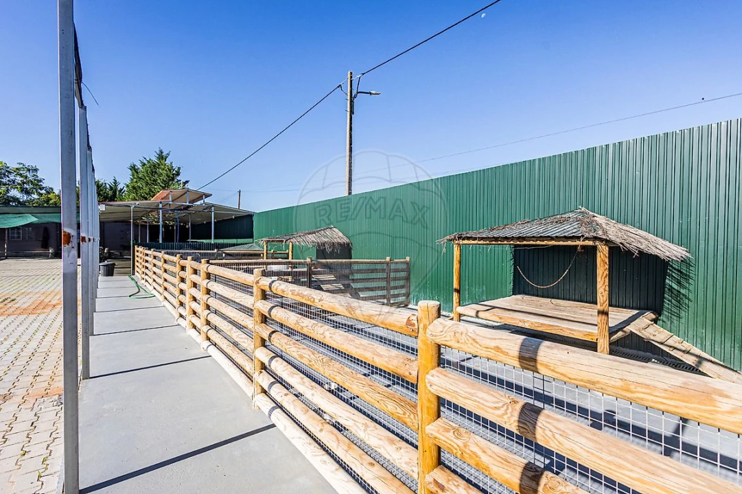 Moradia T5 para Venda em Alpiarça Foto 49