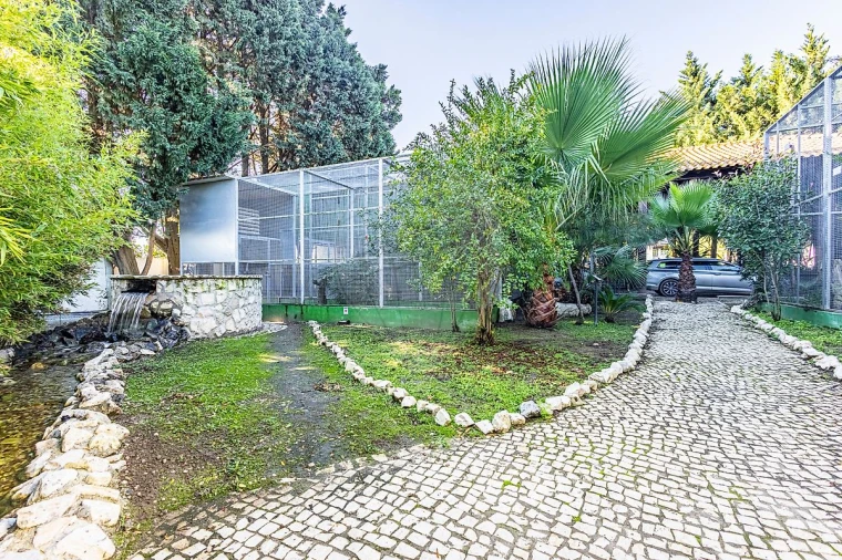 Moradia T5 para Venda em Alpiarça Foto 47