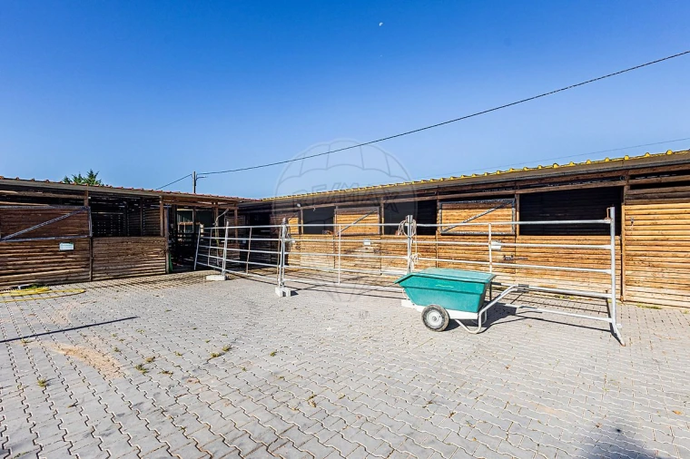 Moradia T5 para Venda em Alpiarça Foto 50