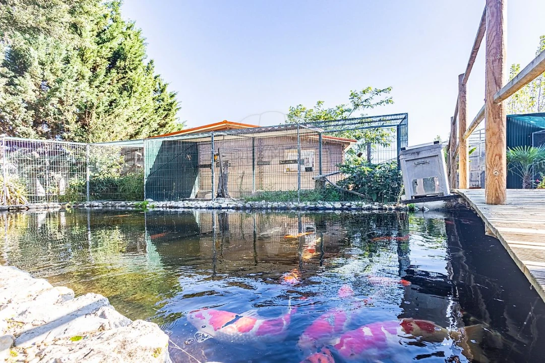 Moradia T5 para Venda em Alpiarça Foto 48