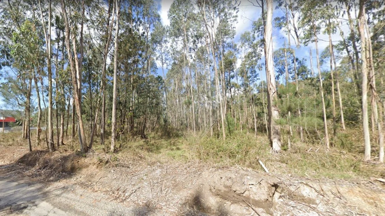 Terreno para Venda em O. Azeméis, Riba-Ul, Ul, Macinhata Seixa, Madail Foto 6